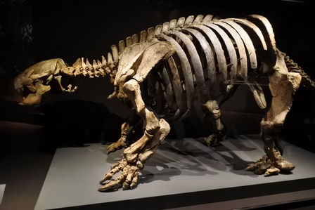 �V���K�|�[���P�O�O