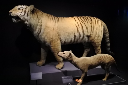 �V���K�|�[���P�O�P