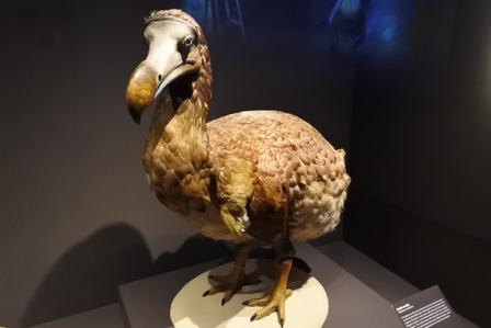 �V���K�|�[���P�O�Q