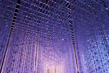 �V���K�|�[���P�P�V