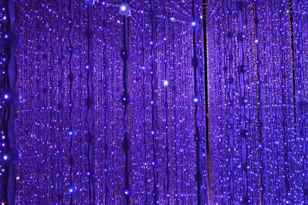 �V���K�|�[���P�P�W