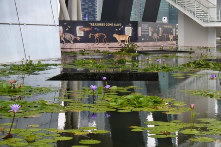 �V���K�|�[���P�Q�P