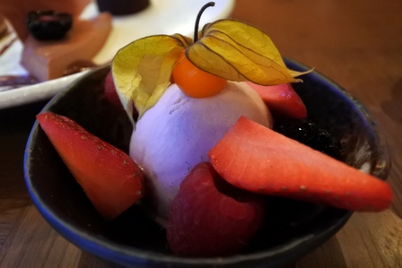 �V���K�|�[���P�R�V