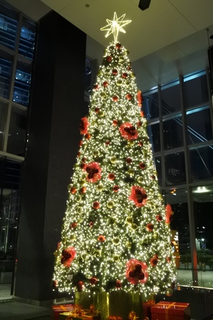 �V���K�|�[���P�S�Q