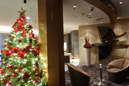 �V���K�|�[���P�T�U