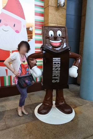 �V���K�|�[���V�T