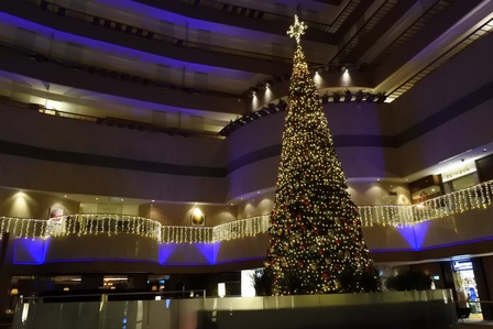 �V���K�|�[���R�V