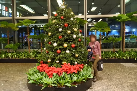 �V���K�|�[���R