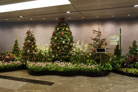 �V���K�|�[���T