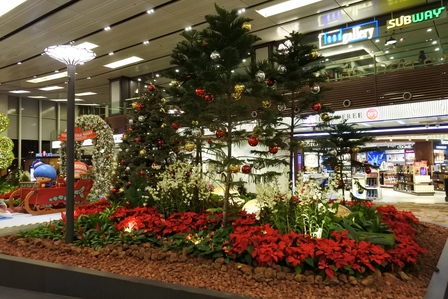 �V���K�|�[���U