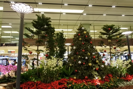 �V���K�|�[���V