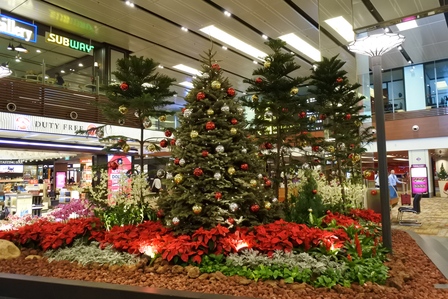 �V���K�|�[���X