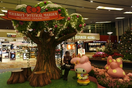 �V���K�|�[���P�P