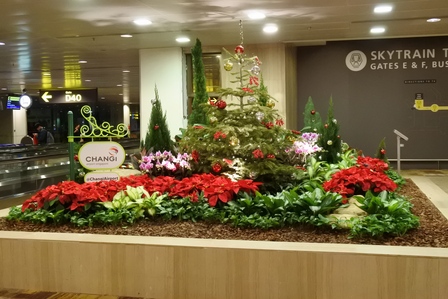 �V���K�|�[���P�R