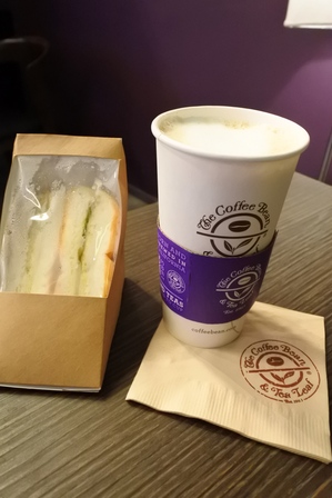 �V���K�|�[���P�S