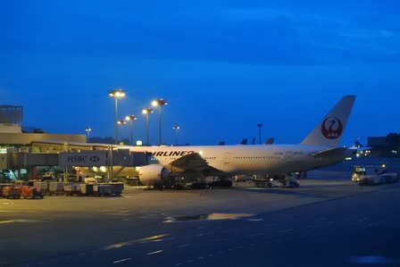 �V���K�|�[���P�T