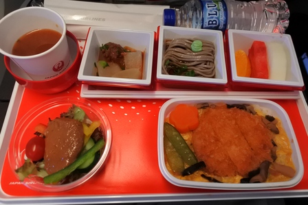 �V���K�|�[���P�V