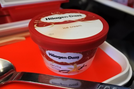 �V���K�|�[���P�X