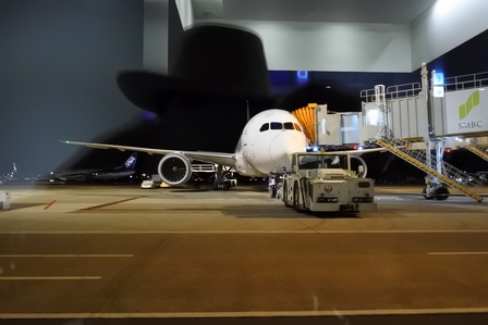 �V���K�|�[���Q�R