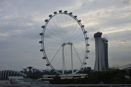 �V���K�|�[���R