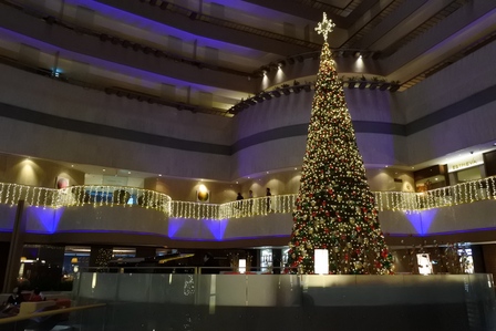 �V���K�|�[���S