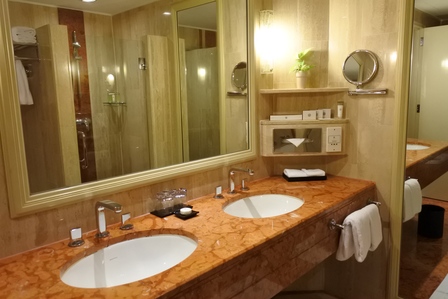 �V���K�|�[���P�O