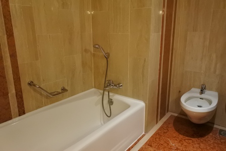 �V���K�|�[���P�P