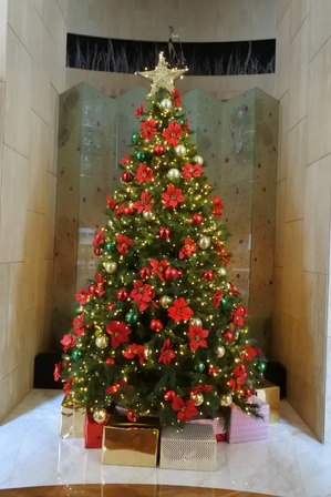 �V���K�|�[���P