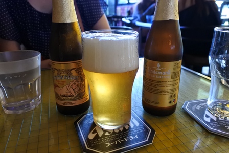 �V���K�|�[���P�S