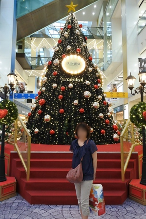 �V���K�|�[���S�P