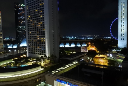 �V���K�|�[���U�Q