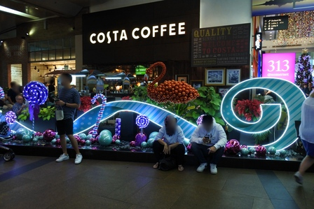 �V���K�|�[���P�X