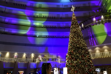 �V���K�|�[���R�S