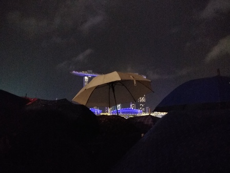 �V���K�|�[���R�W