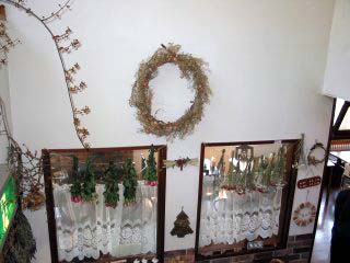 �x���N�R�b�g�E�ٓ�����3