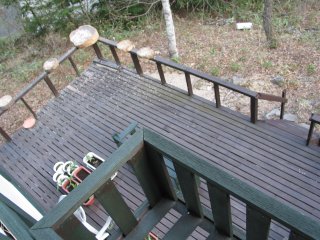 �x���N�R�b�g�E�b�h�f�b�L�Q