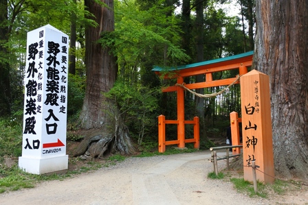 ���k�P�P�O