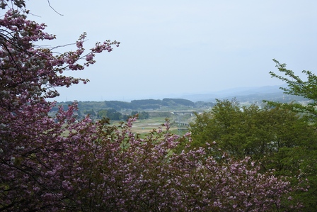 ���k�P�P�T