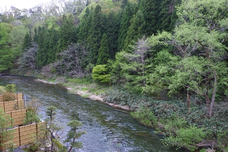 ���k�P�R�O