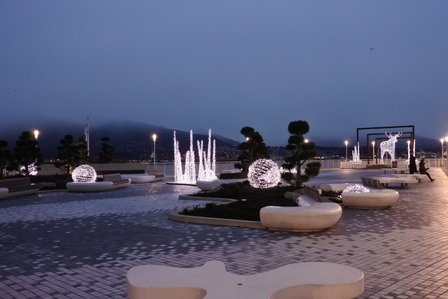 �o���N�[�o�[�Q