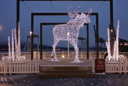 �o���N�[�o�[�S