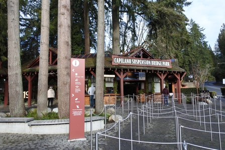 �o���N�[�o�[�P�T