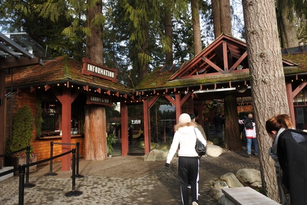 �o���N�[�o�[�P�U