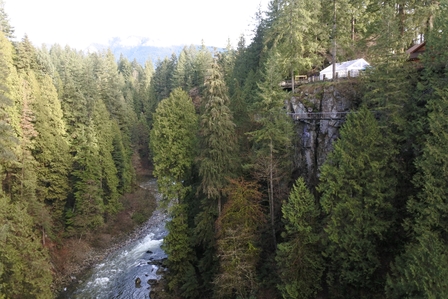 �o���N�[�o�[�R�Q