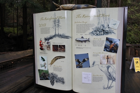 �o���N�[�o�[�R�S