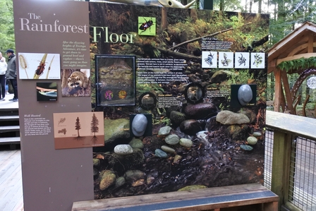 �o���N�[�o�[�R�U