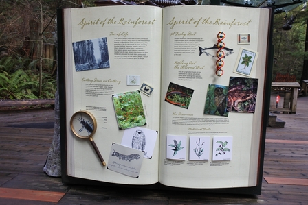 �o���N�[�o�[�R�V