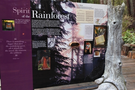 �o���N�[�o�[�R�W