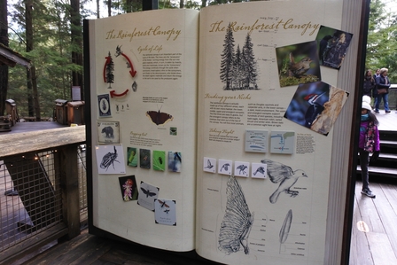 �o���N�[�o�[�S�O