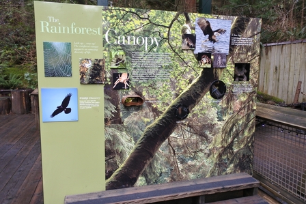 �o���N�[�o�[�S�P